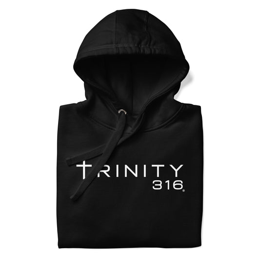 Unisex premium black hoodie featuring the Trinity t316 design, showcasing a stylish front view.