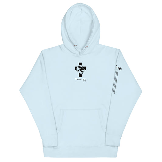 Trinity 316 Hoodie | Strong & Courageous