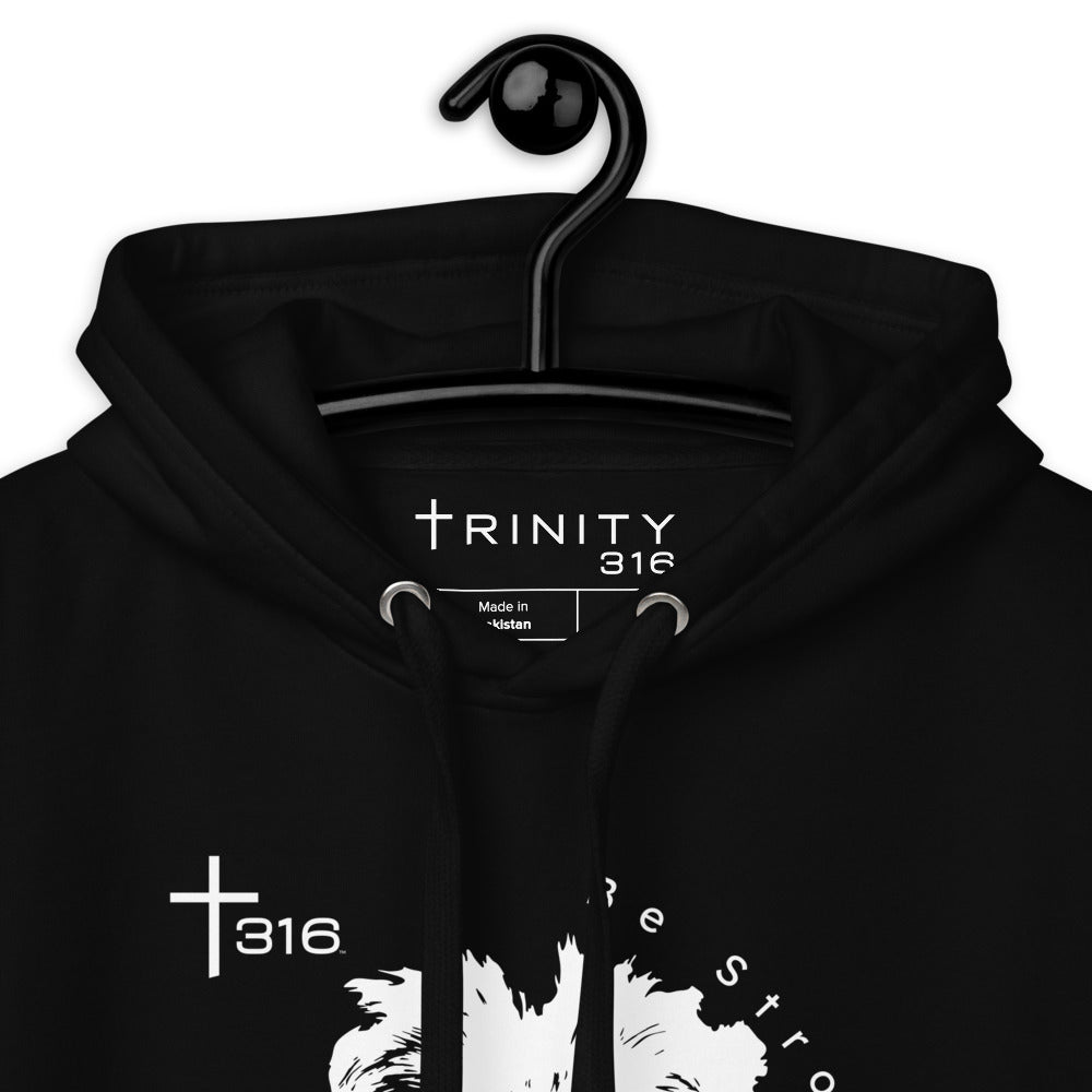 Unisex premium black hoodie zoomed in, showcasing the stylish design of the Trinity 316 storm hoodie.