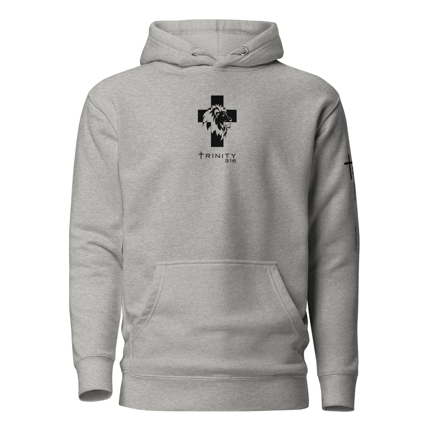 Trinity 316 Hoodie | Strong & Courageous