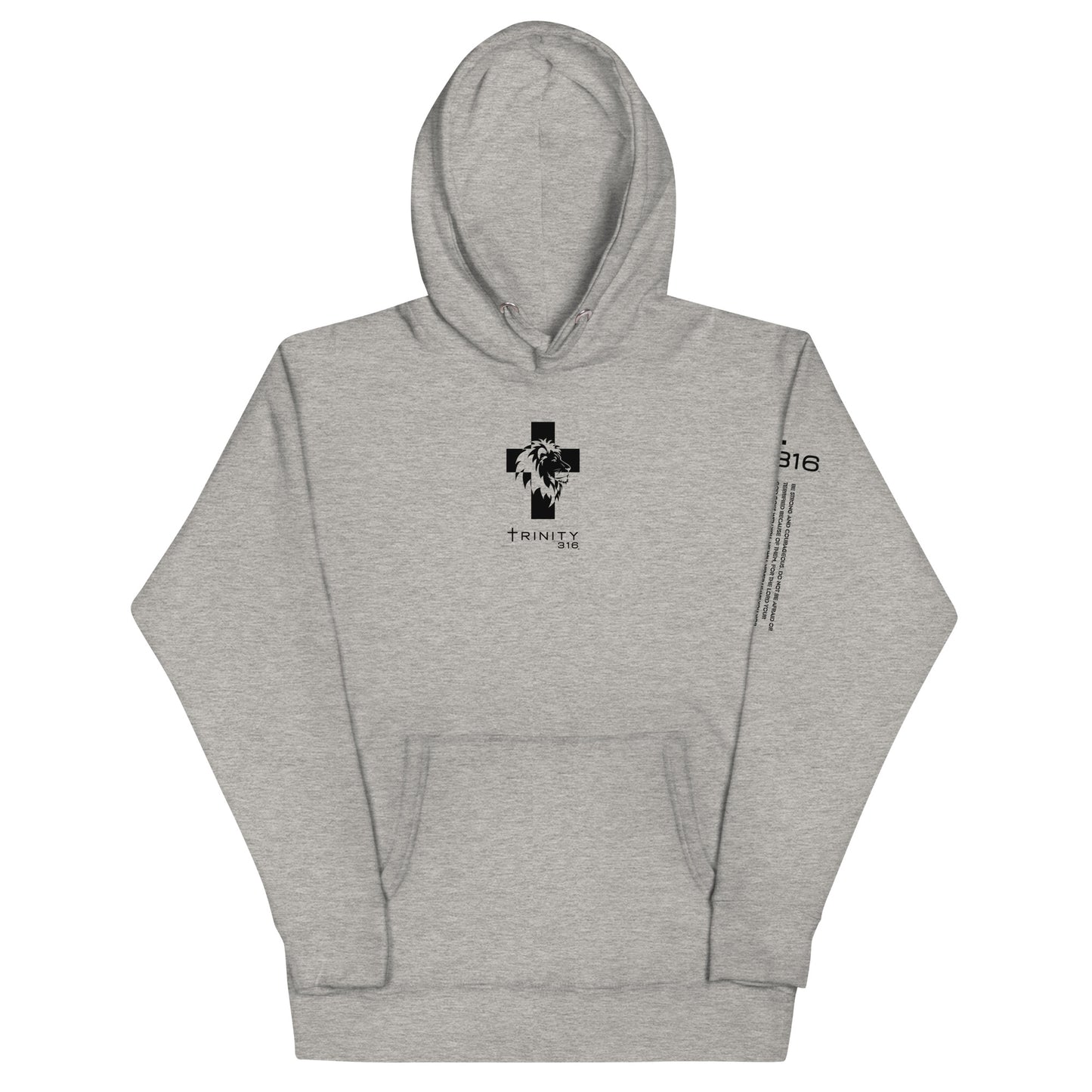 Trinity 316 Hoodie | Strong & Courageous