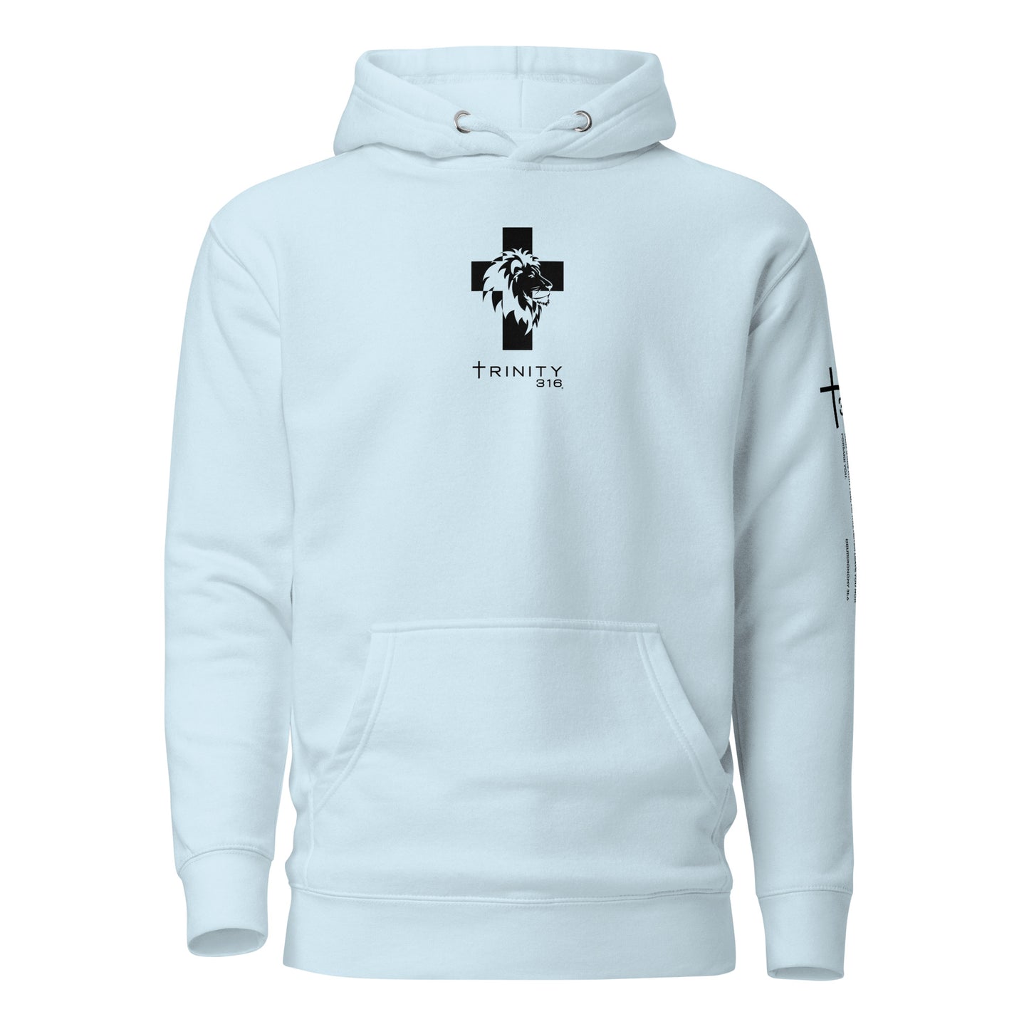 Trinity 316 Hoodie | Strong & Courageous