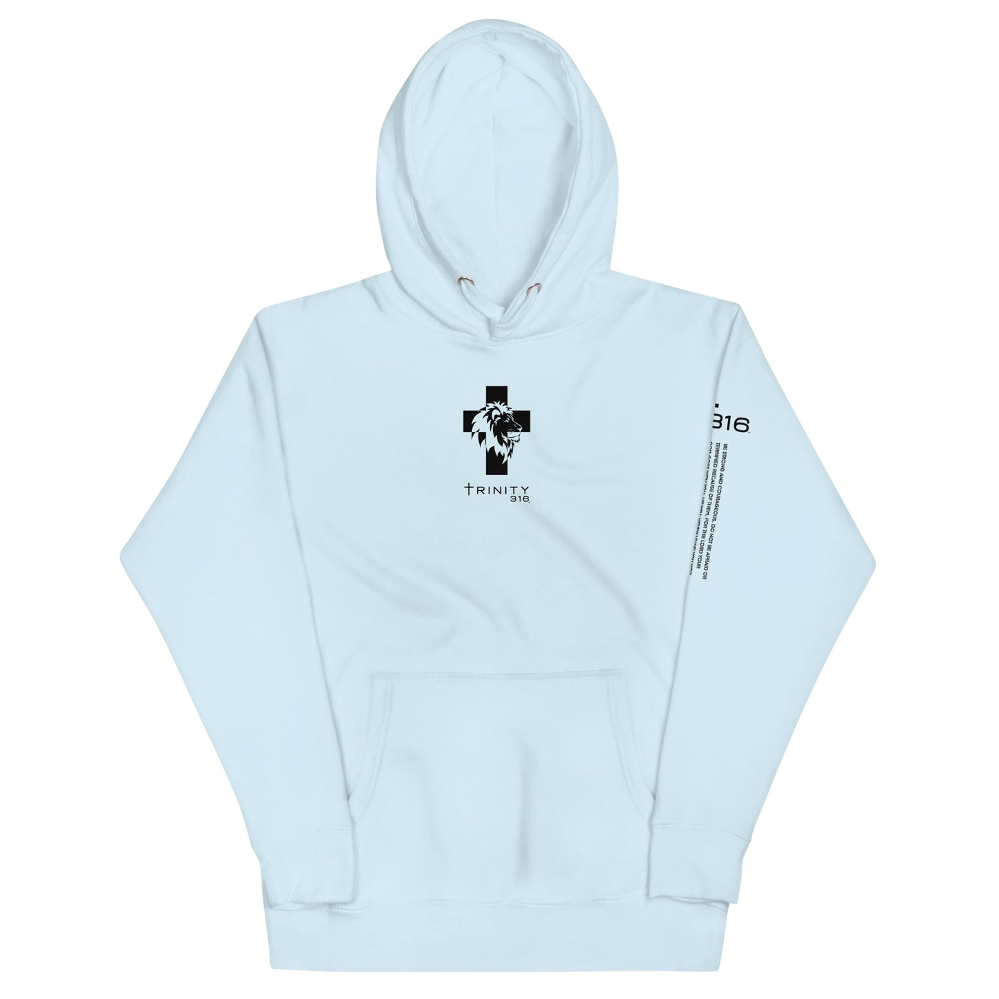 Trinity 316 Hoodie | Strong & Courageous