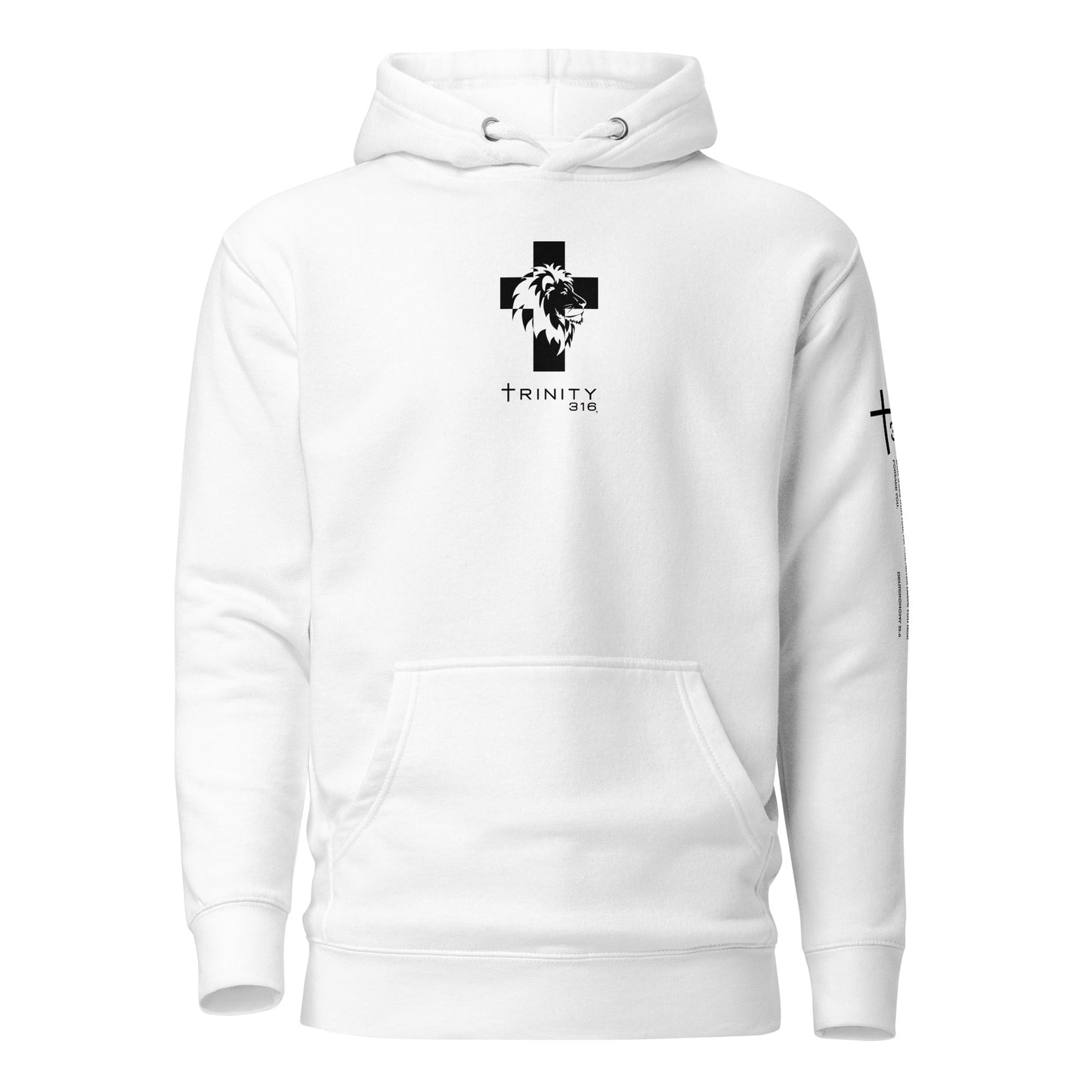 Trinity 316 Hoodie | Strong & Courageous