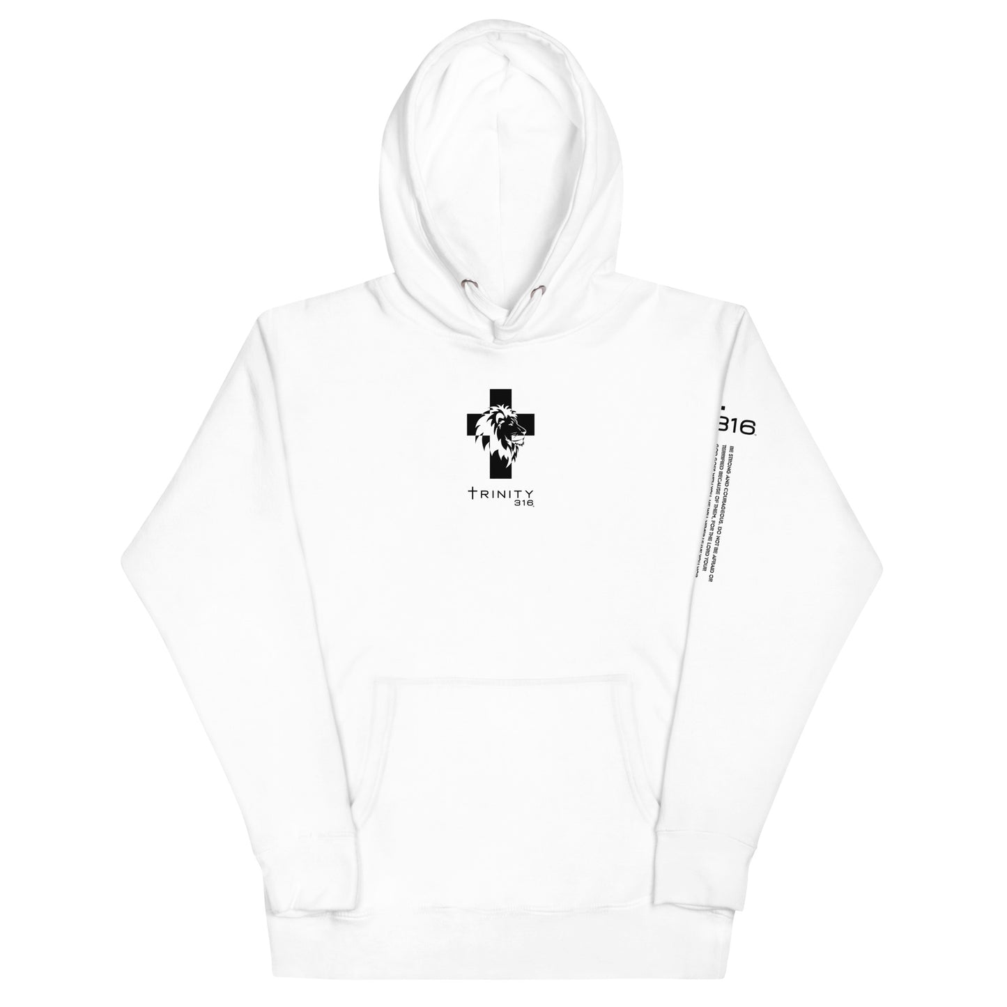 Trinity 316 Hoodie | Strong & Courageous