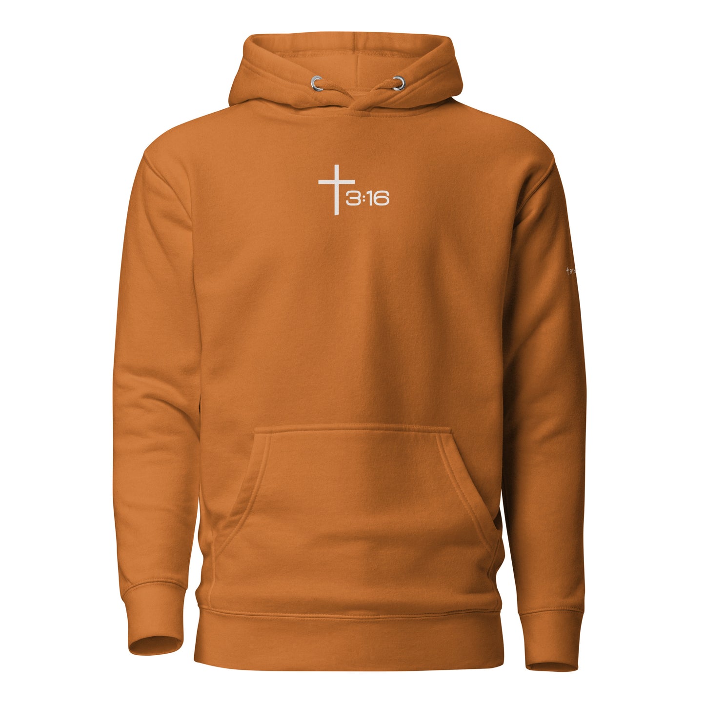 T316 Icon Christian hoodie in autumn— Trinity 3:16 faith apparel