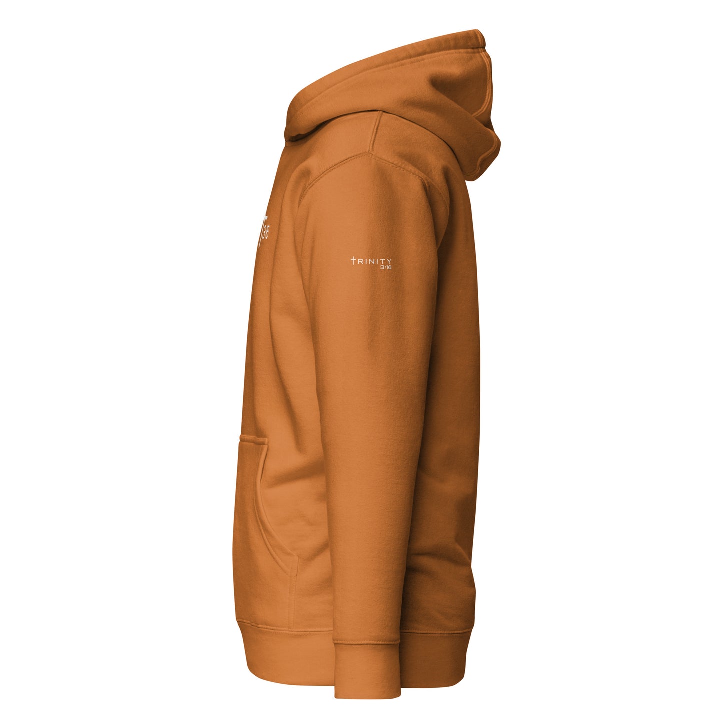 T316 Icon Christian hoodie in autumn — Trinity 3:16 faith apparel