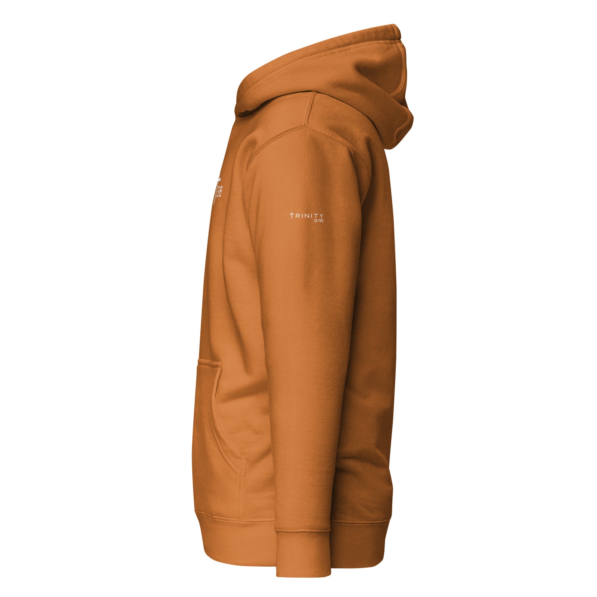 T316 Icon Christian hoodie in autumn — Trinity 3:16 faith apparel