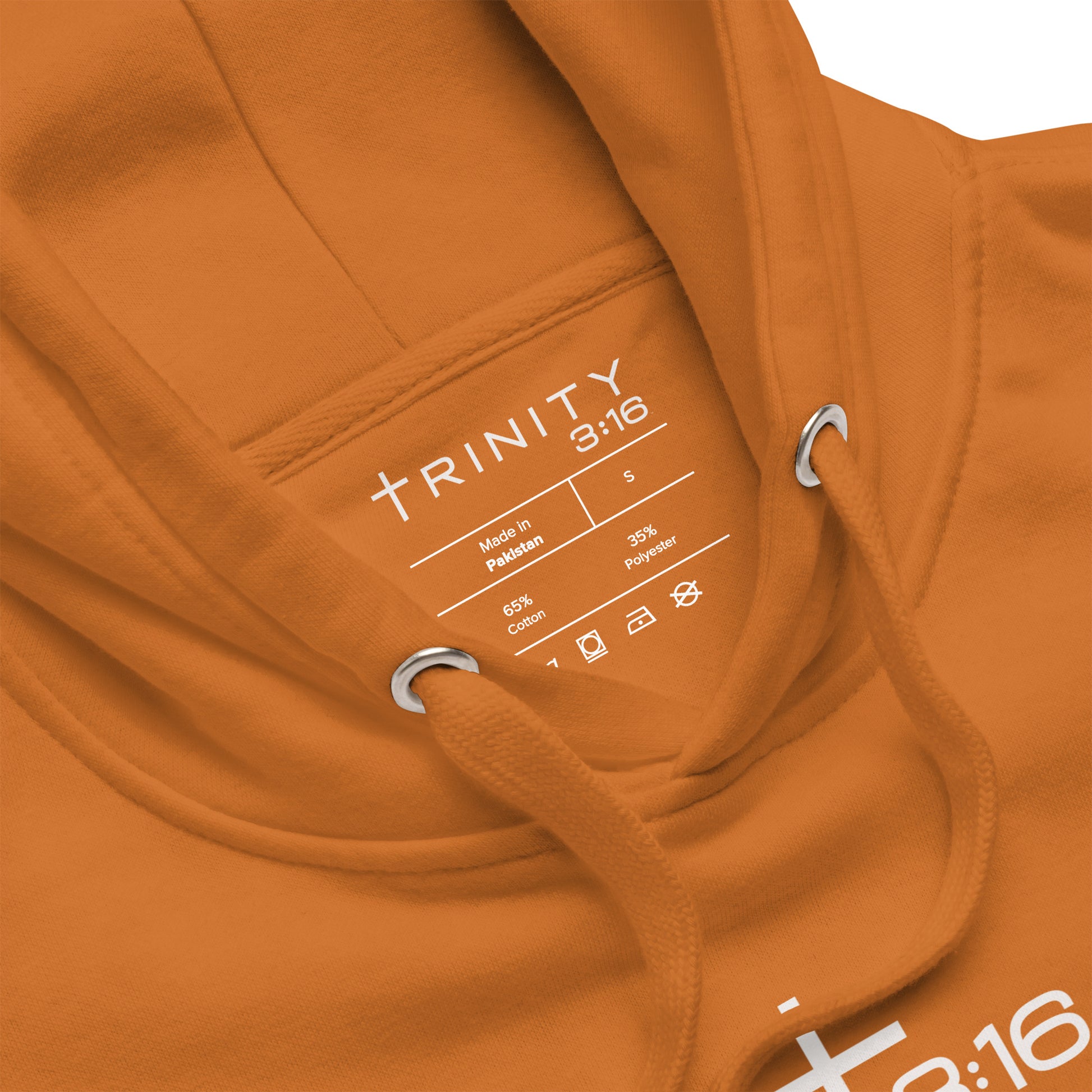 T316 Icon Christian hoodie in autumn— Trinity 3:16 faith apparel