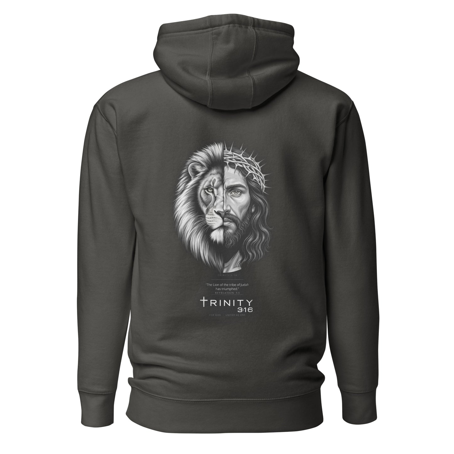 Lion of Judah Christian hoodie in grey— Trinity 3:16 faith apparel