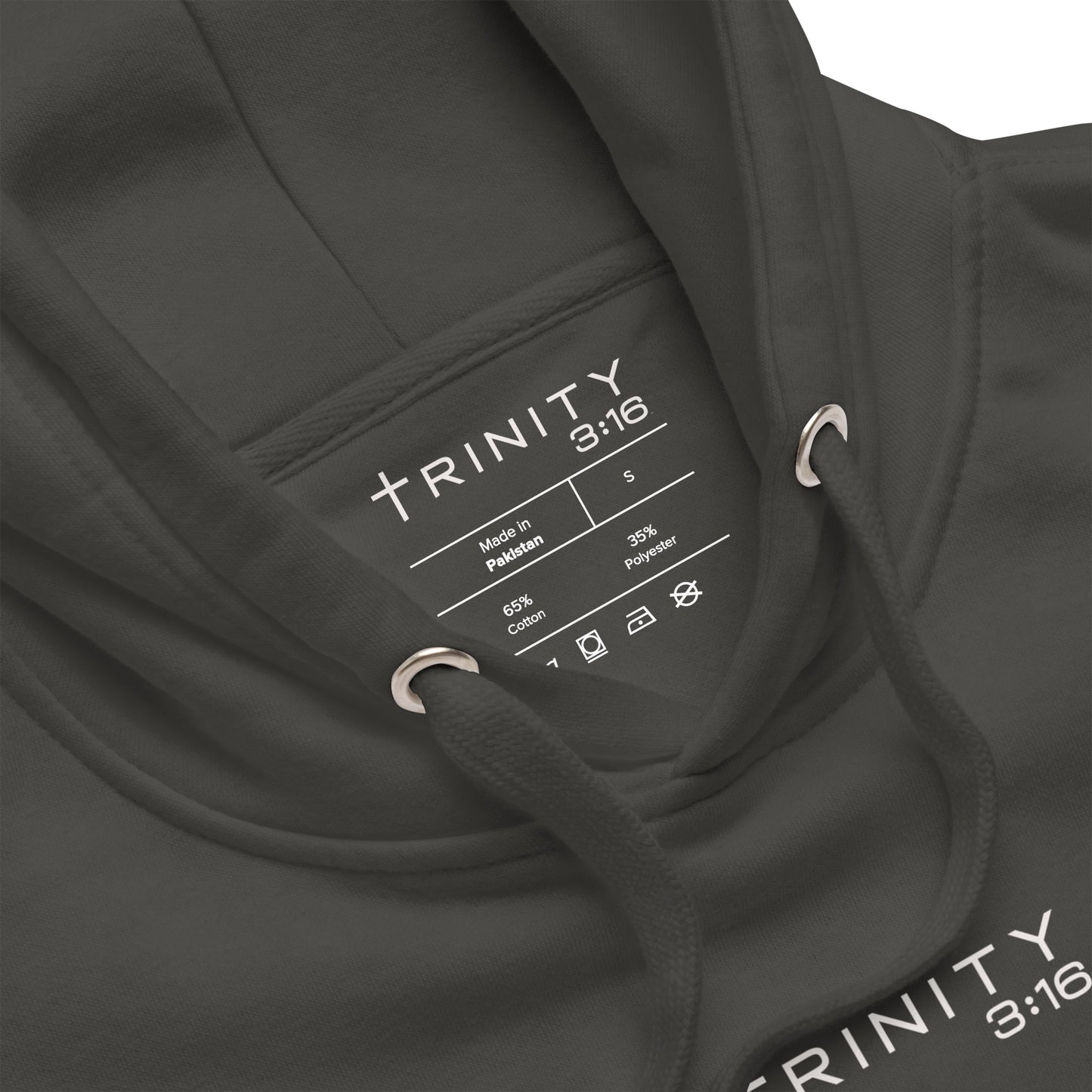 Lion of Judah Christian hoodie in grey— Trinity 3:16 faith apparel
