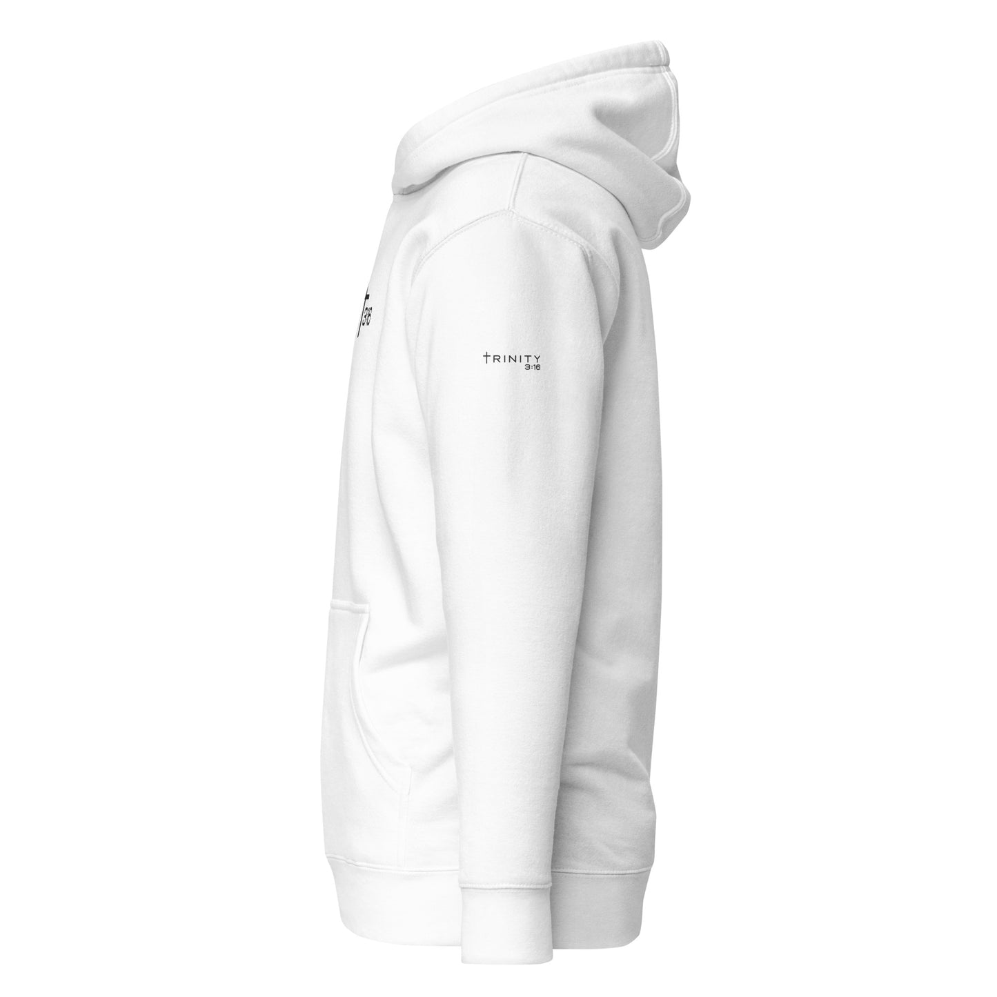 Trinity 3:16 Icon Sanctuary Hoodie