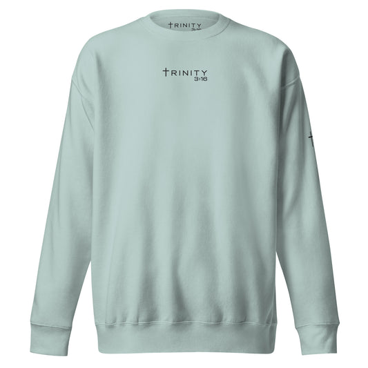 T316 Logo Christian crewneck in agave — Trinity 3:16 faith apparel