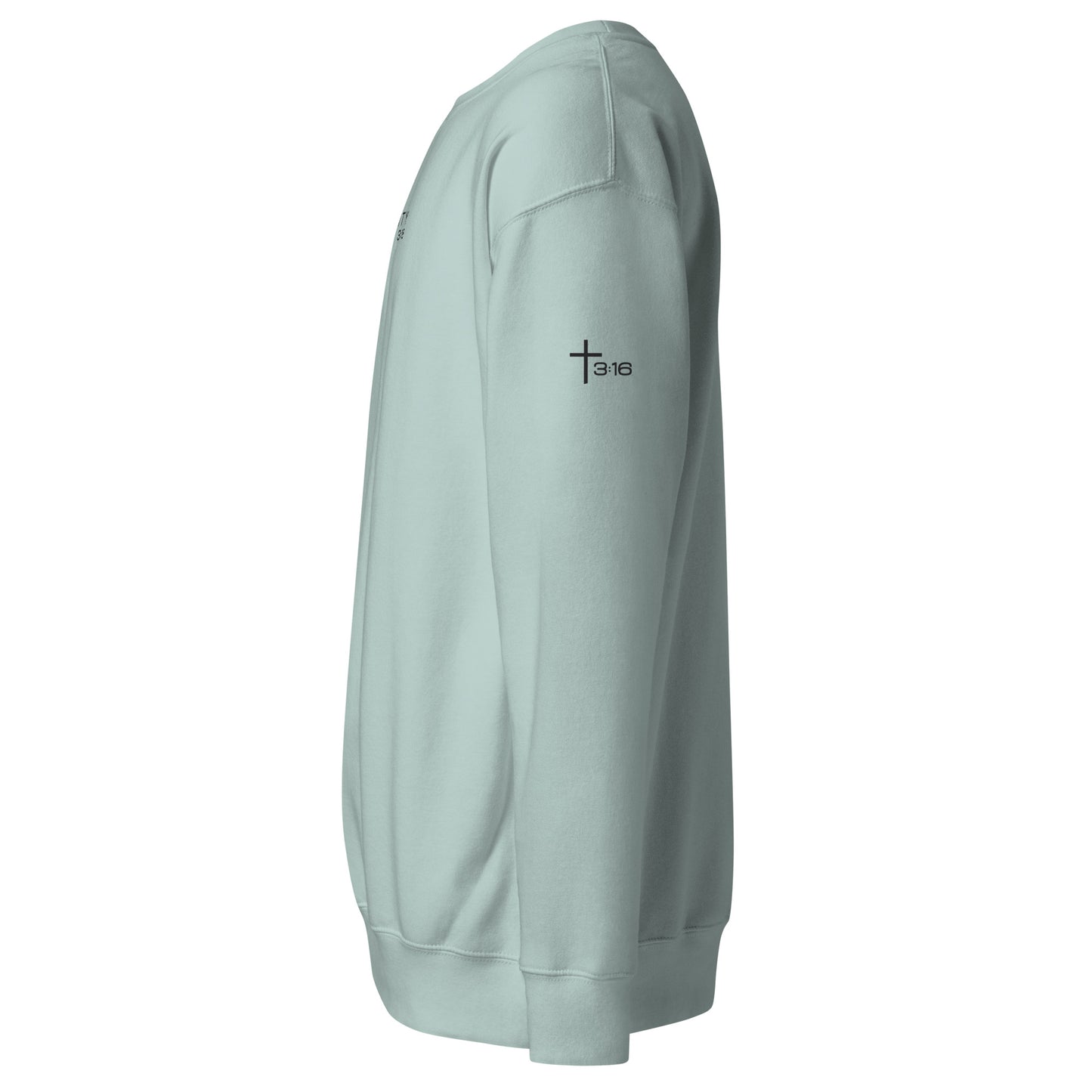 T316 Logo Christian crewneck in agave — Trinity 3:16 faith apparel