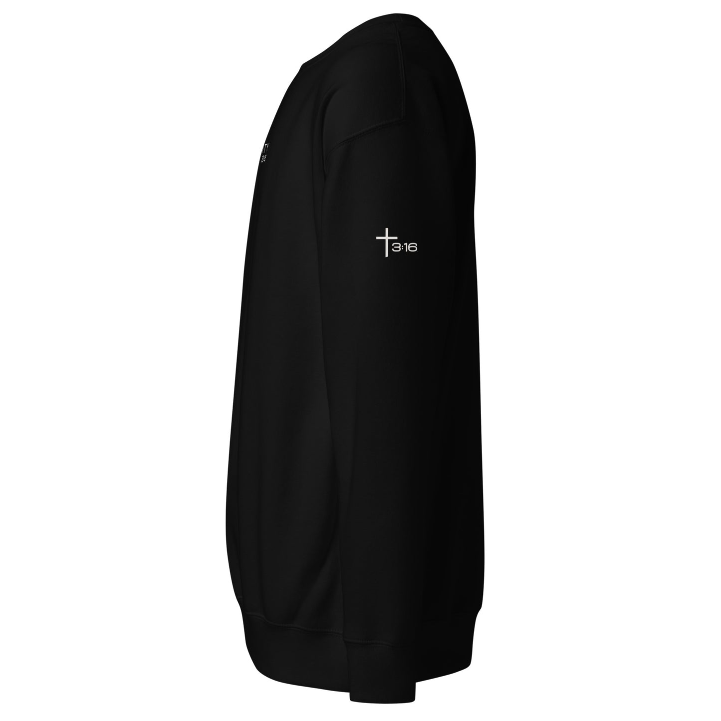 Trinity 3:16 Logo Christian crewneck in black— Trinity 3:16 faith apparel