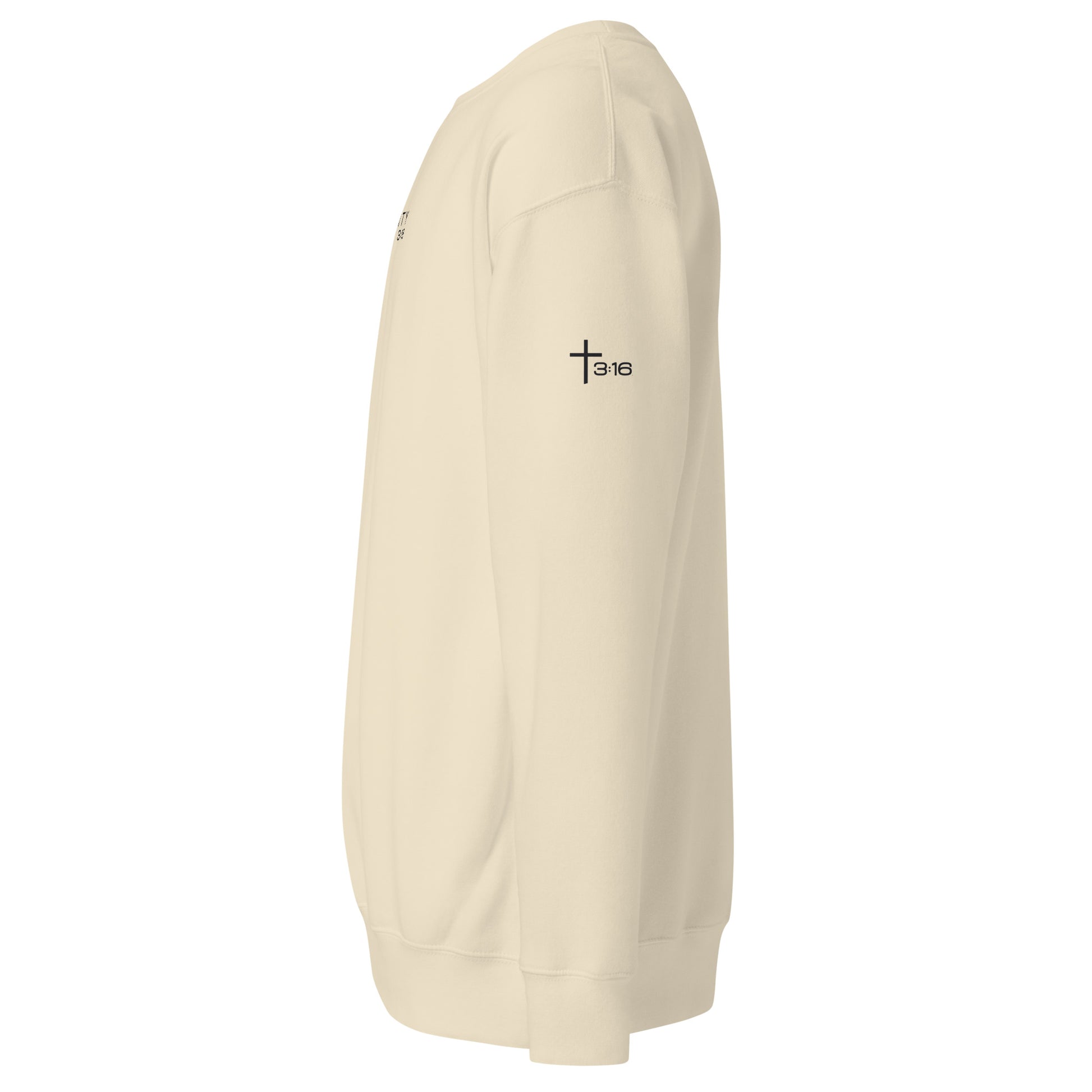 T316 Logo Christian crewneck in bone— Trinity 3:16 faith apparel