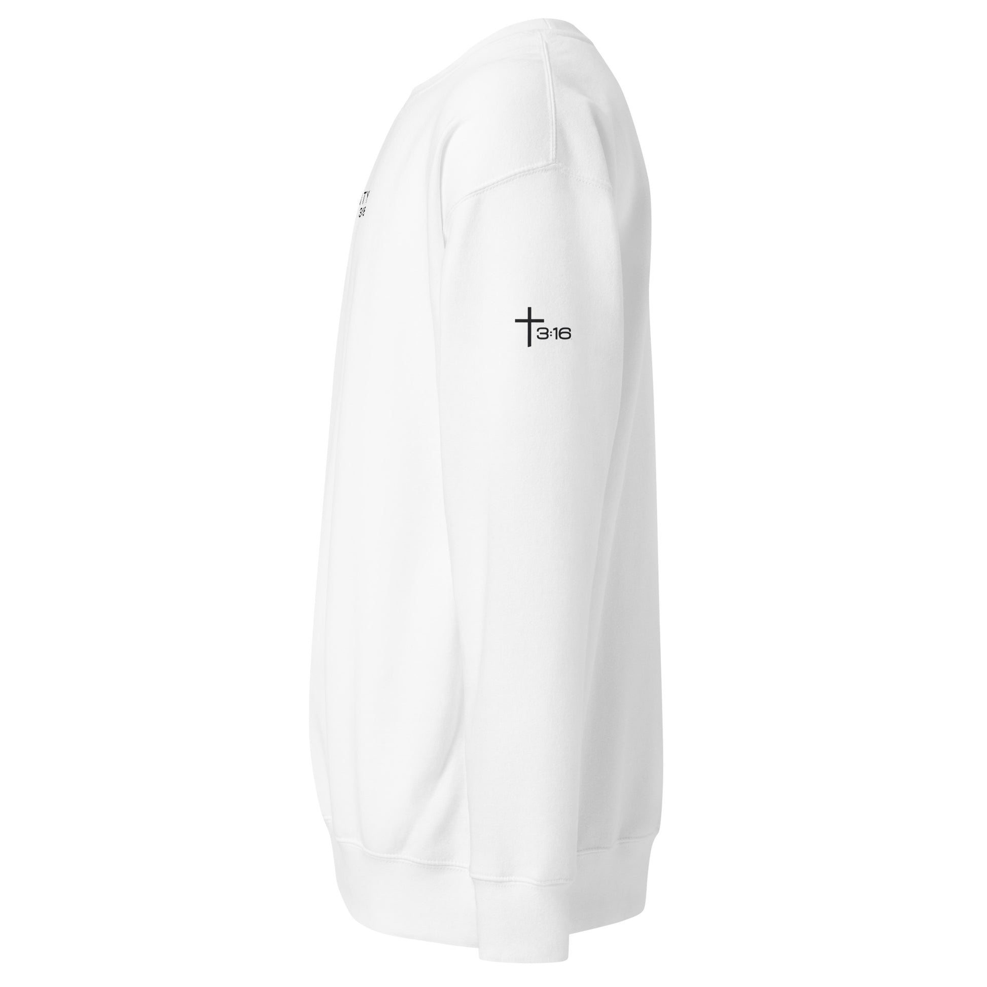 T316 Logo Christian crewneck in white — Trinity 3:16 faith apparel