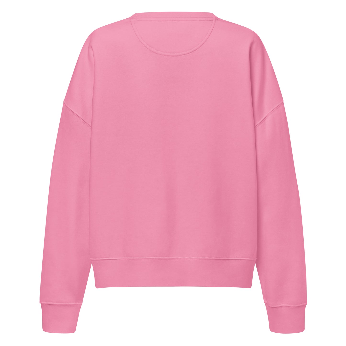 Trinity 3:16 Logo Christian womens crewneck in pink— Trinity 3:16 faith apparel