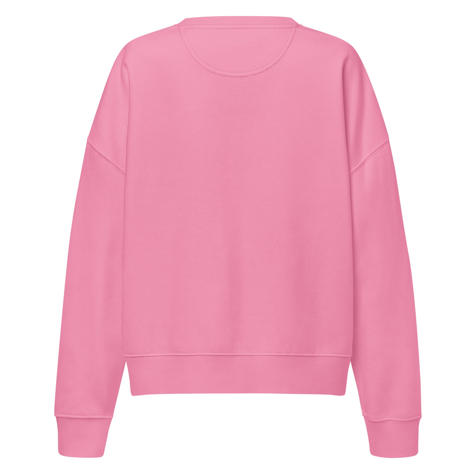 Trinity 3:16 Logo Christian womens crewneck in pink— Trinity 3:16 faith apparel