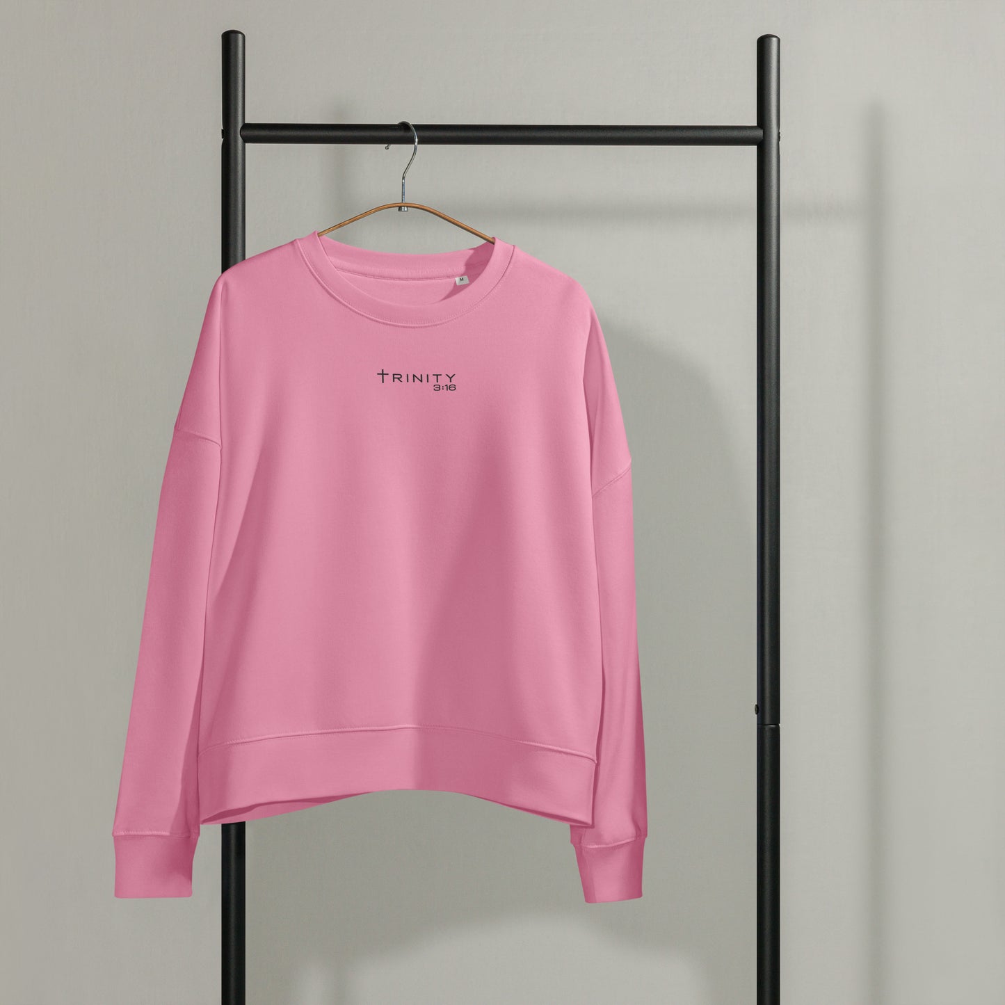 John 3:16 Christian womens crewneck in pink— Trinity 3:16 faith apparel