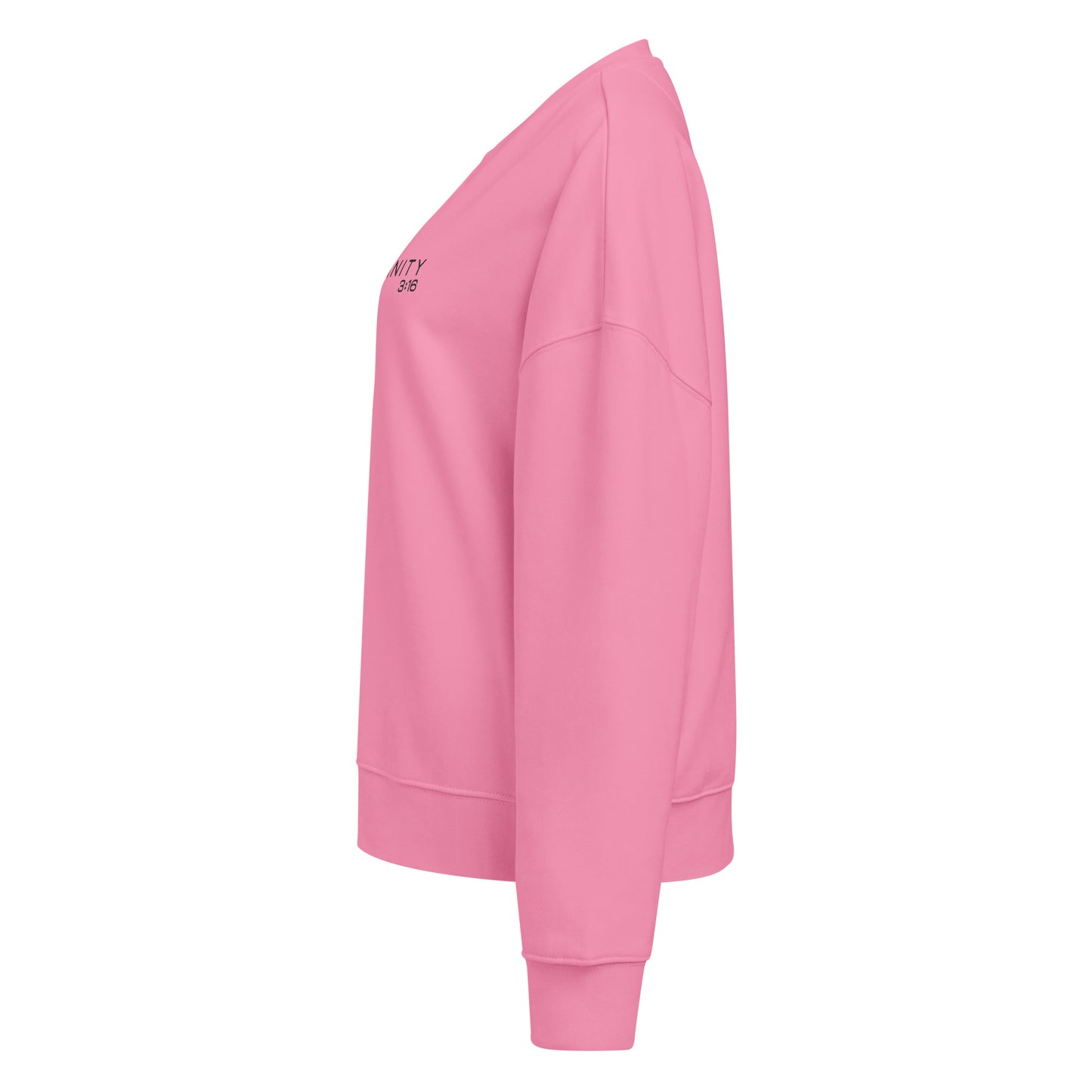 Trinity 3:16 Logo Christian womens crewneck in pink— Trinity 3:16 faith apparel
