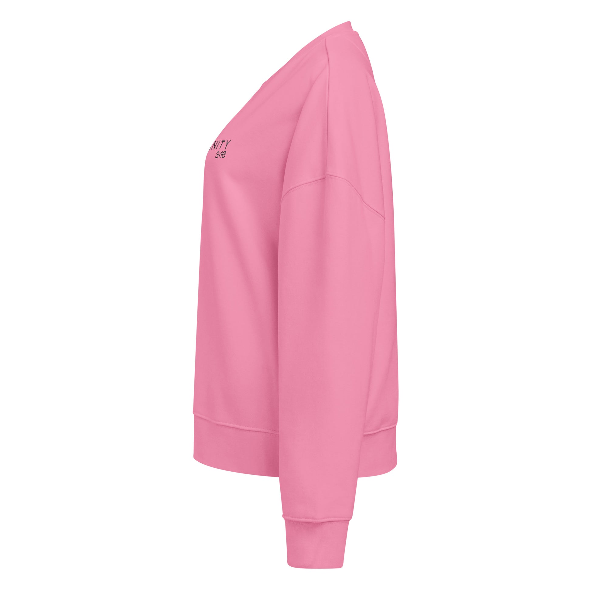 Trinity 3:16 Logo Christian womens crewneck in pink— Trinity 3:16 faith apparel