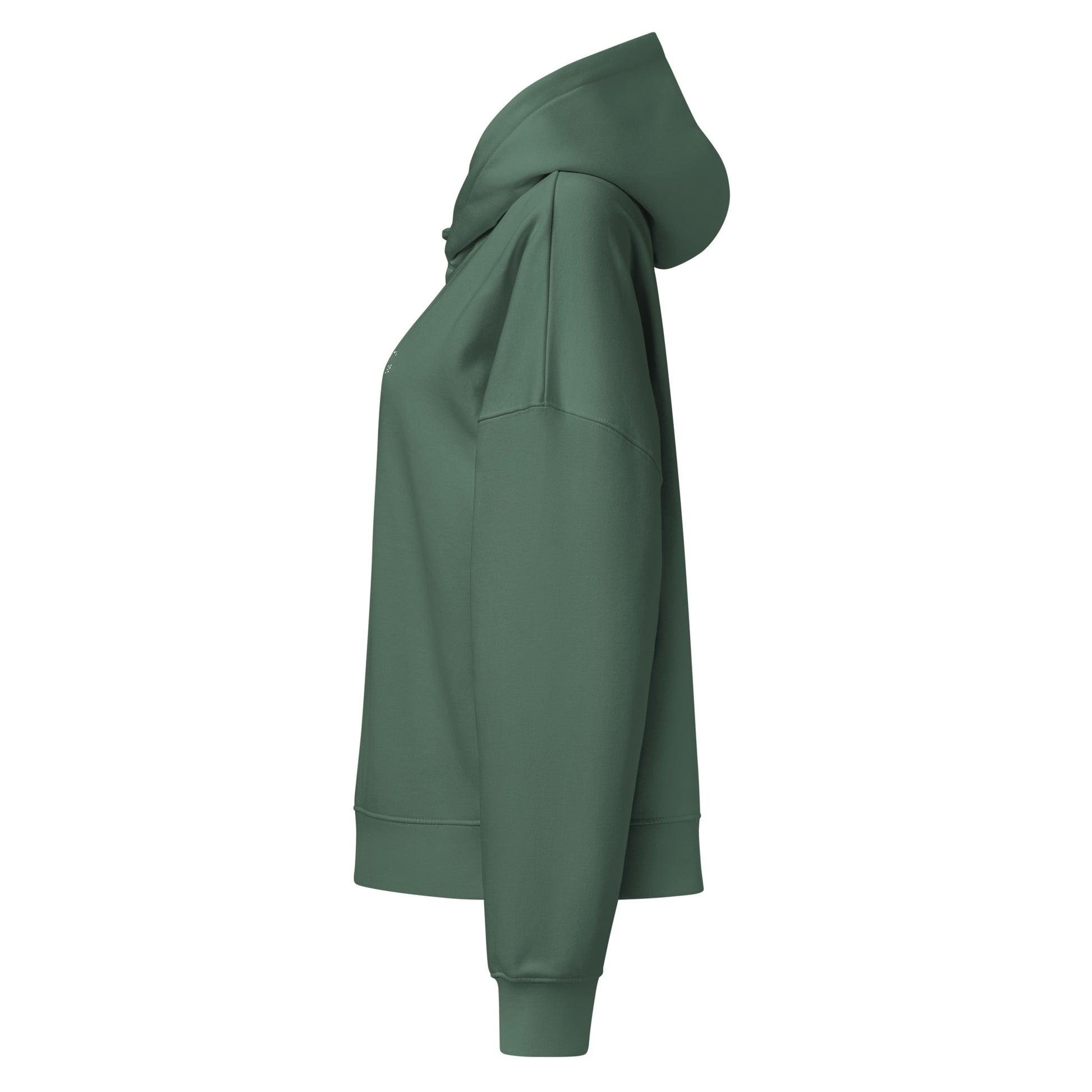 rinity 3:16 Logo Christian womens hoodie in green— Trinity 3:16 faith apparel