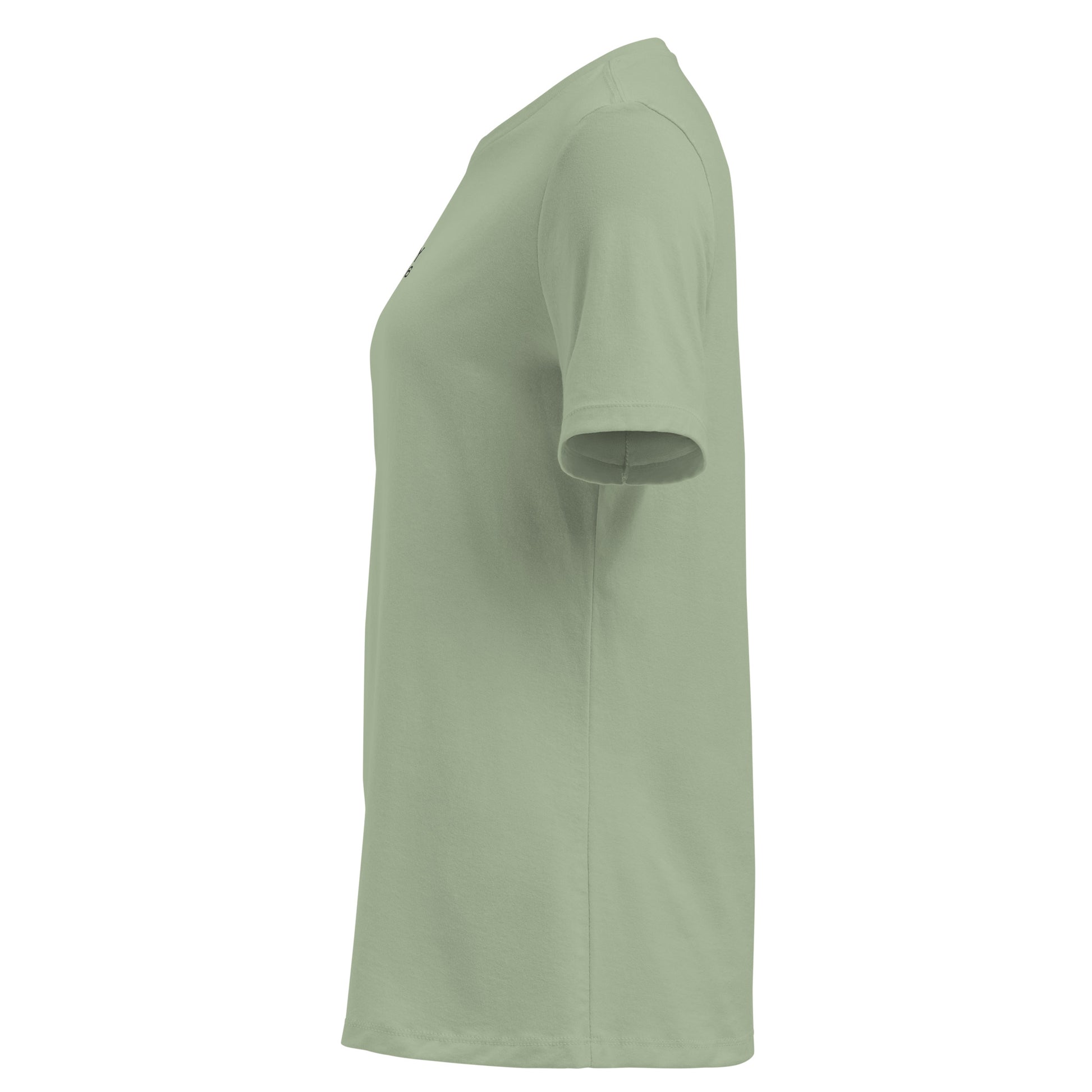 Trinity 3:16 Logo Christian womens tee in sage — Trinity 3:16 faith apparel